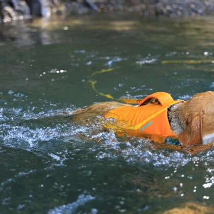 CREAMYが撮影した「:albumName」の写真