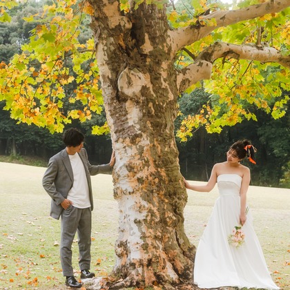 石田誠写真事務所が撮影した「:albumName」の写真