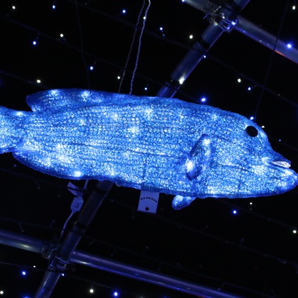 ＮＫ フォトエージェンシーが撮影したその他の写真