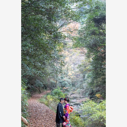 saruco(岩崎寿）が撮影した「:albumName」の写真