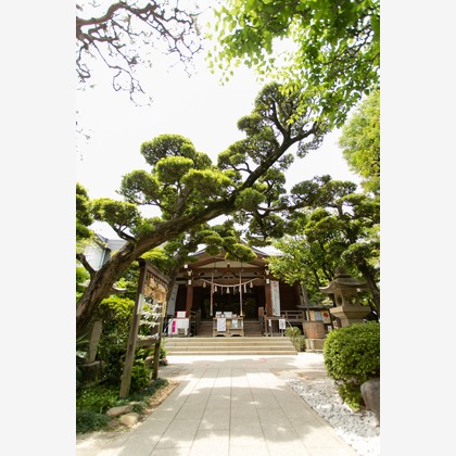 atelier Casha tokyoが撮影した「:albumName」の写真