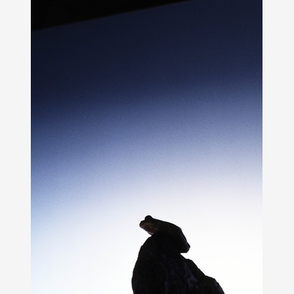 kiharu&photoが撮影した「:albumName」の写真