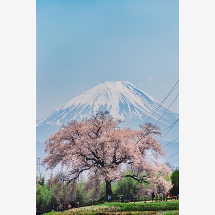 内藤駿介が撮影したその他/商品/物撮りの写真