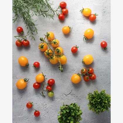 ちずカメラが撮影した料理撮影の写真