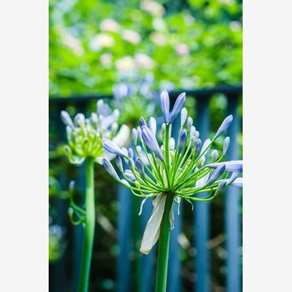 堀内 陽希が撮影したイベント/スナップ撮影の写真