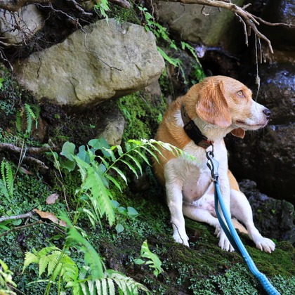 CREAMYが撮影した「:albumName」の写真