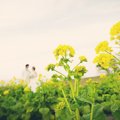 elle pupaが撮影した「:albumName」の写真