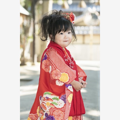 A&Y写真OFFICEが撮影したその他の写真