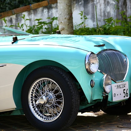 TSD officeが撮影した「:albumName」の写真