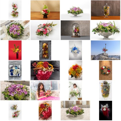 オーロラスタジオが撮影した「:albumName」の写真