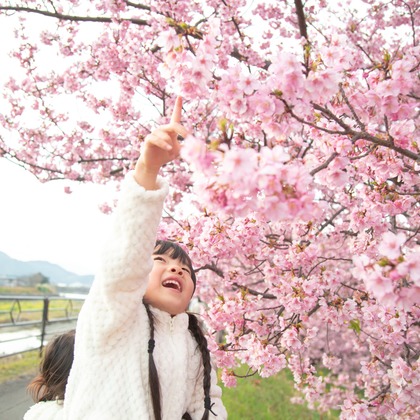 ゆのみふぉとが出張撮影した自然の中の人々, 手をつないで, 友情などが写った「桜とお写真」の家族写真