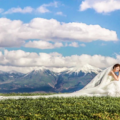 Lucas Shu Photographyが撮影したウェディングや家族、ビジネスの写真