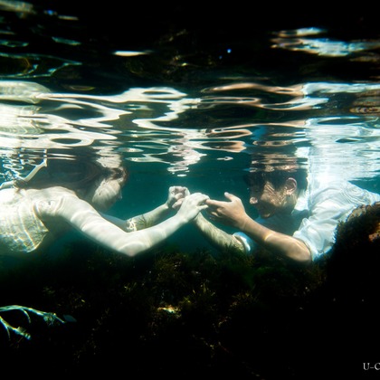 U-CONCENT (香川裕貴)が撮影したウェディングや家族、ビジネスの写真