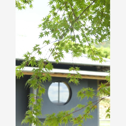 株式会社KP Lifeが撮影した商品/物撮りの写真