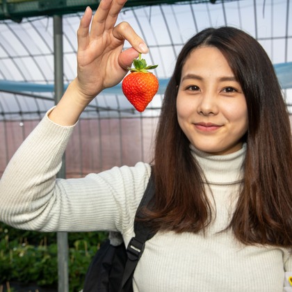 岩坪眞一郎が撮影した「:albumName」の写真