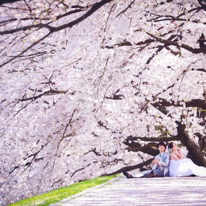 Lucas Shu Photographyが撮影したウェディングや家族、ビジネスの写真