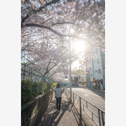 caponoが撮影した家族写真の出張撮影の写真