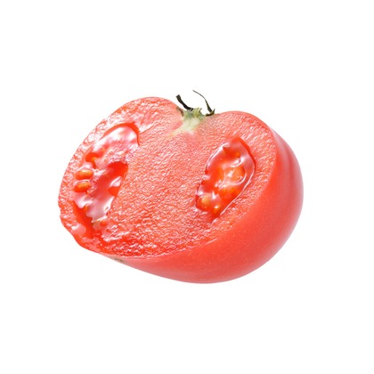 SEE LIKE PHOTOが撮影したウェディングや家族、ビジネスの写真