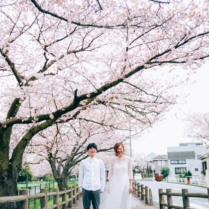 Photo of :albumName taken by t_pictures