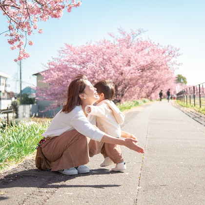 ゆのみふぉとが出張撮影した自然の中の人々, 手をつないで, 友情などが写った「桜とお写真」の家族写真