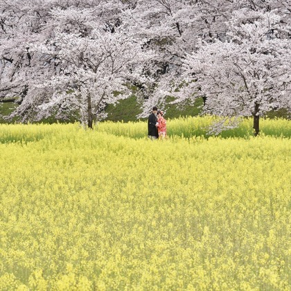 キキフォトワークスが撮影したウェディングや家族、ビジネスの写真