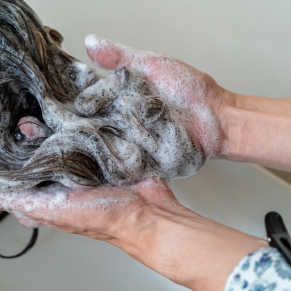 DESIGN STUDIO EEが撮影した店舗/オフィス/サロン撮影の写真