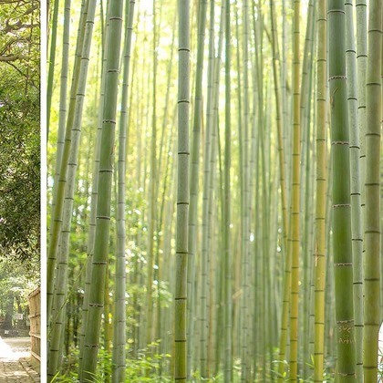 Photo of :albumName taken by 2 of us photography