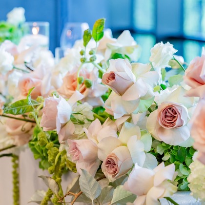 大橋　道裕が撮影した「:albumName」の写真