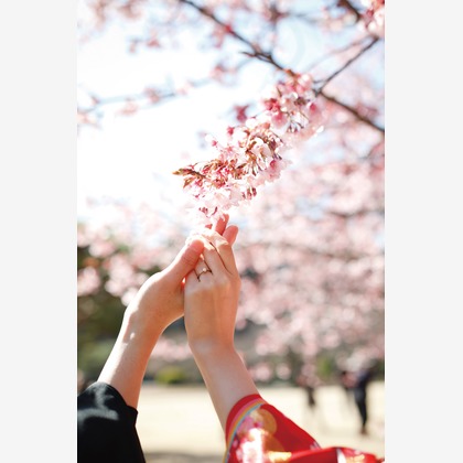 Wedding, Bridal Photos taken by ecoo