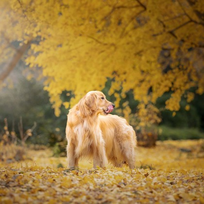梅田　紫邑が撮影したその他の写真