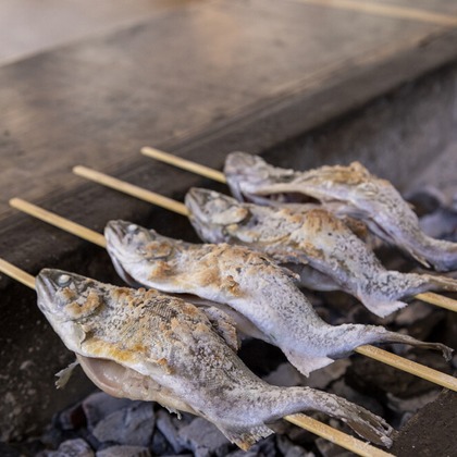 株式会社SANYO-CYP studioUPが撮影した「:albumName」の写真