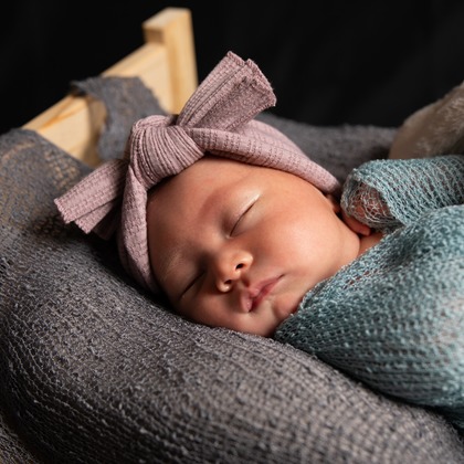 岩坪眞一郎が撮影した「:albumName」の写真