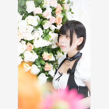 Kosaku Tanakaが撮影した「:albumName」の写真