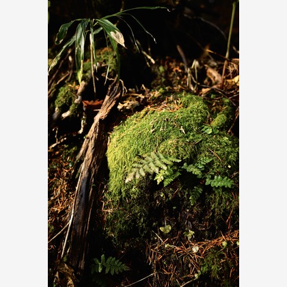 山腰　啓介が撮影したイベント/スナップ撮影/不動産/竣工の写真