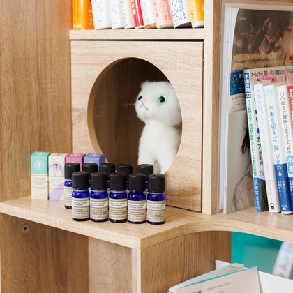 Yusuke Usuiが撮影した店舗/オフィス/サロン撮影/商品/物撮り/人物撮影の写真