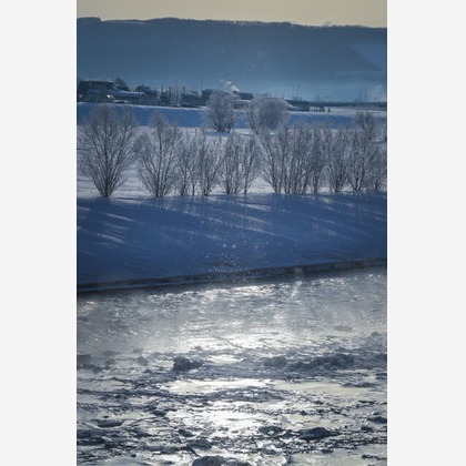 芳賀 翔大が撮影したイベント/スナップ撮影の写真