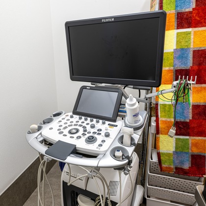 吉田佳央が撮影した「:albumName」の写真