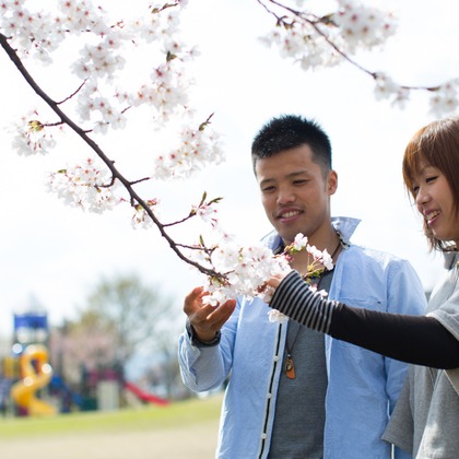 studio HATOYAが撮影した「:albumName」の写真