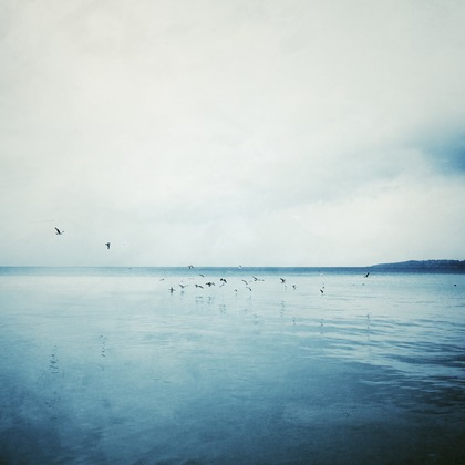 kiharu&photoが撮影した「:albumName」の写真