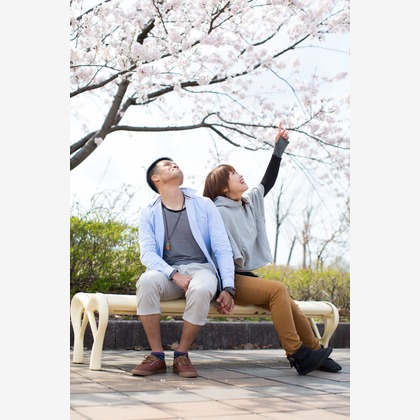 studio HATOYAが撮影した「:albumName」の写真