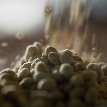 小田映像制作事務所が撮影した「:albumName」の写真