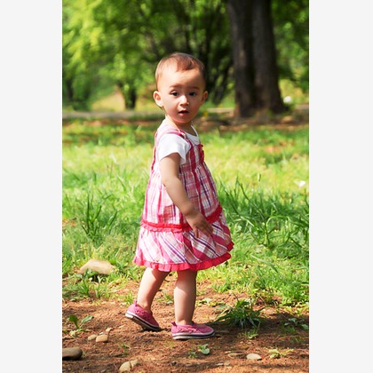 （有）カラーフィールドが撮影した「:albumName」の写真