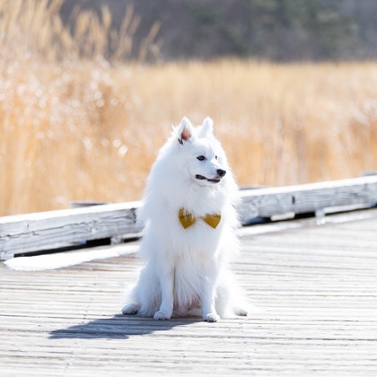 Makoto Nakamuraが撮影したウェディングや家族、ビジネスの写真