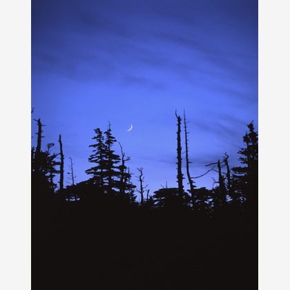 kiharu&photoが撮影した「:albumName」の写真