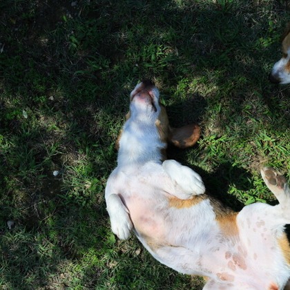 CREAMYが撮影した「:albumName」の写真