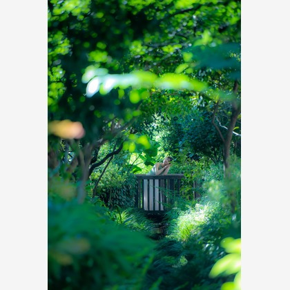 maruが撮影した人物撮影の写真