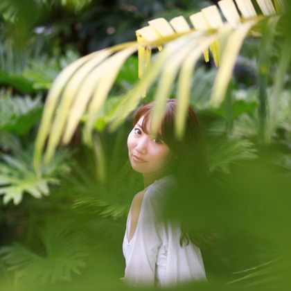 ハネムーンアベニューが撮影したその他の写真