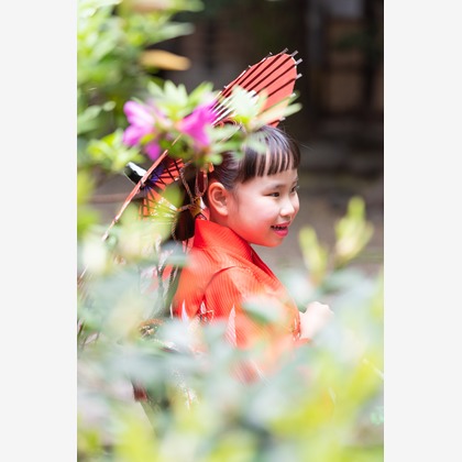 滝絵理香が撮影した「:albumName」の写真