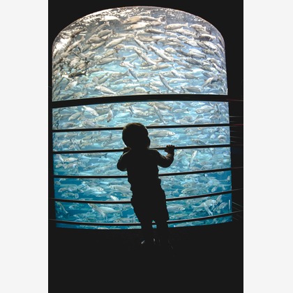 Jacek Cichopekが撮影した「:albumName」の写真