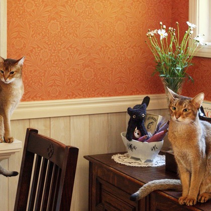 森安　照が撮影した「:albumName」の写真